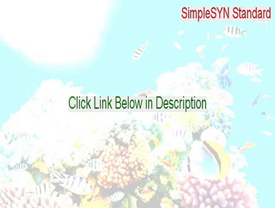 SimpleSYN Standard Download - Instant Download [2015]