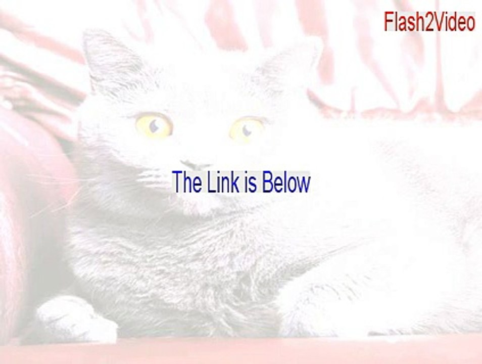 Flash2Video Cracked [Download Now]