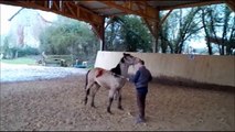 Film un cheval pour toi-Safari & Damourite-Février 2015