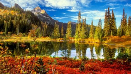 Keba - Brate moj, ne misli o njoj