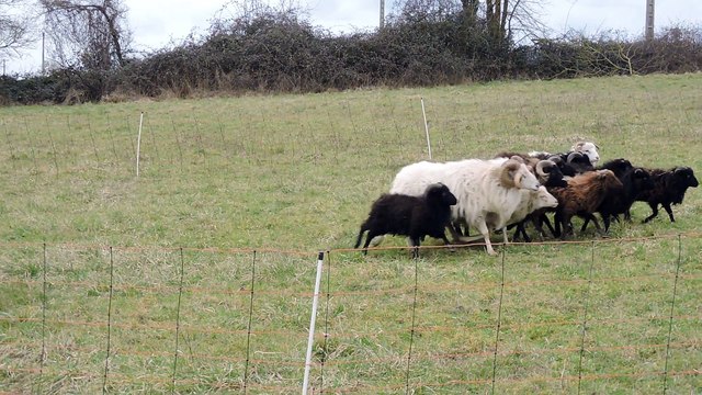 Jude presque 4 mois , 4ème séance