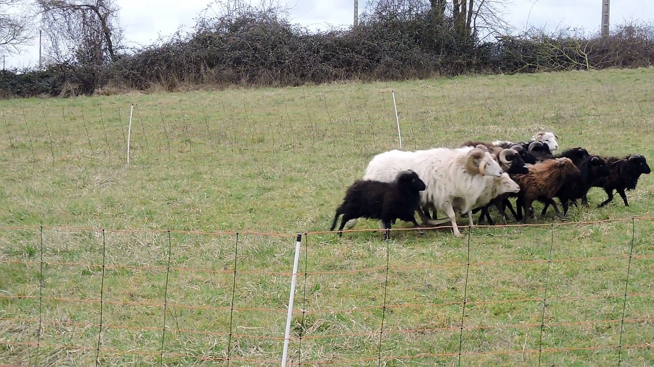 Jude presque 4 mois , 4ème séance