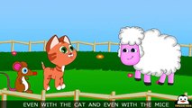 Nursery Rhymes   Kids, Learn About Sheep - Friendly With Cats   With Lyrics By TingooKids