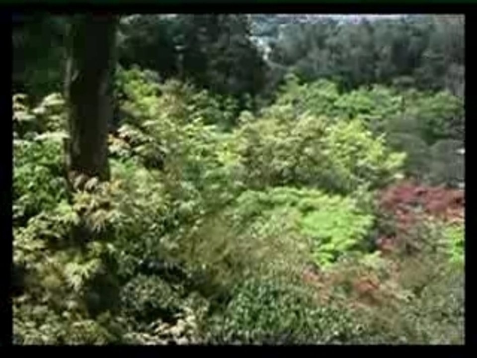 indotv01