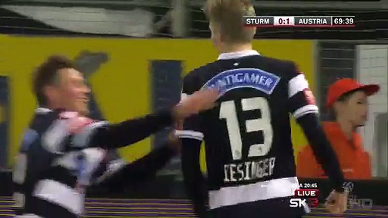 Simon Piesinger 1:1 | Sturm Graz - Austria Wien 03.03.2015 HD