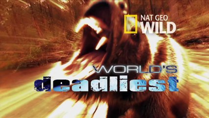 World's Deadliest - Cheetah Brothers' Takedown