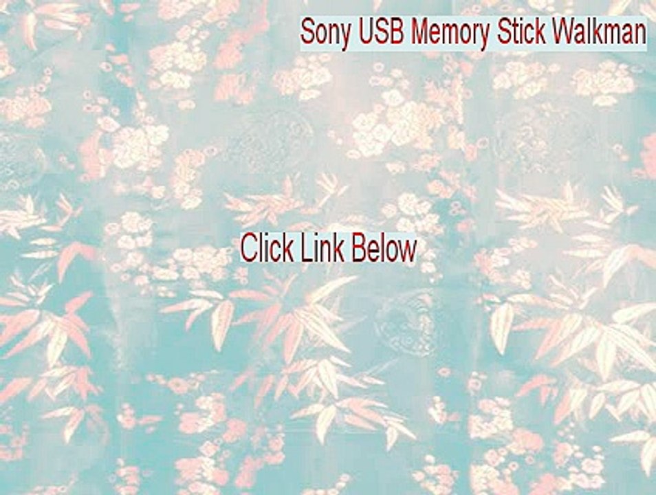Sony USB Memory Stick Walkman Crack (Sony USB Memory Stick Walkmansony usb memory stick walkman)