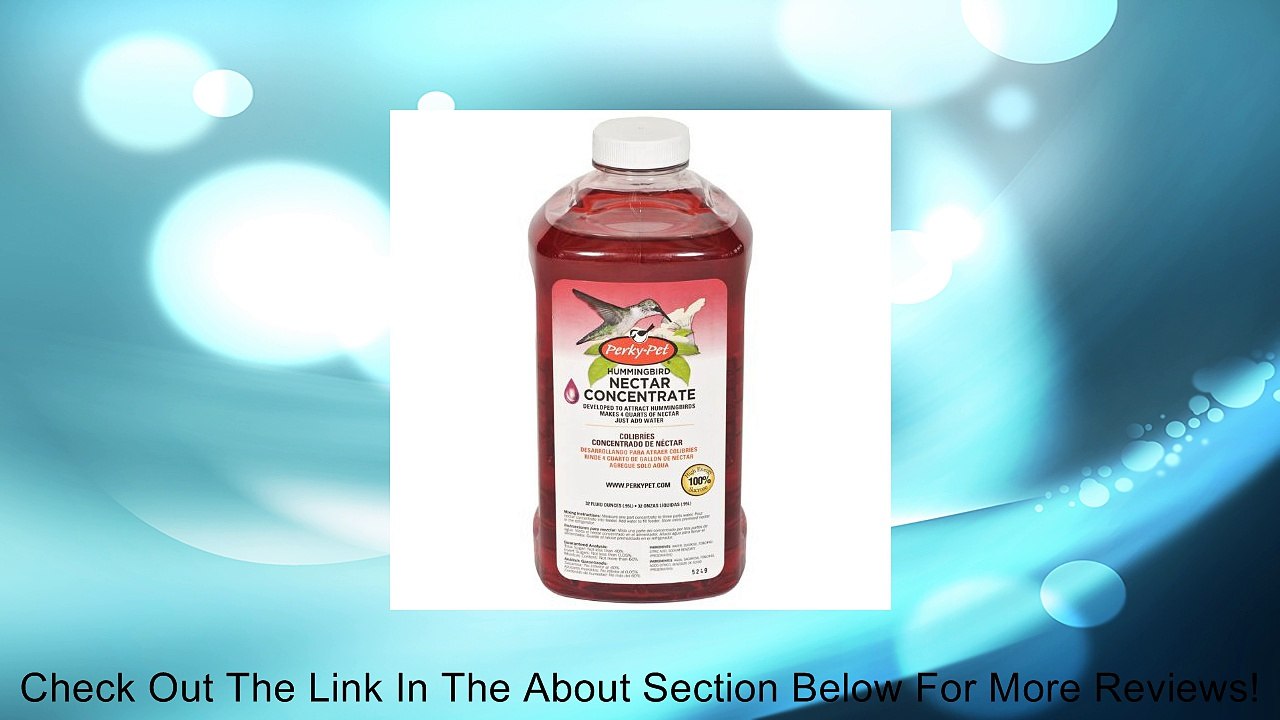 Perky-Pet 238 Hummingbird Nectar, 32-Ounce Concentrate Review
