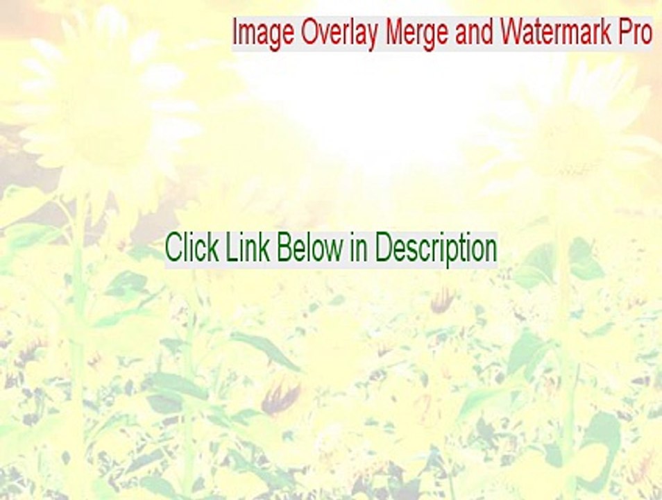 Image Overlay Merge and Watermark Pro Download Free - Legit Download