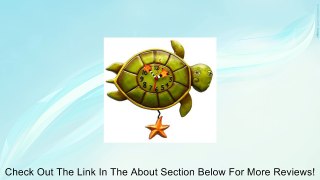 Allen Designs Shelldon (Turtle) Pendulum Clock Review