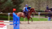 Cheveyo Z , entraînement jeunes chevaux hennebont 03/03/2015