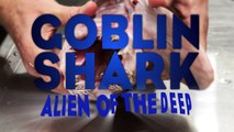 Goblin Shark, Alien of the Deep