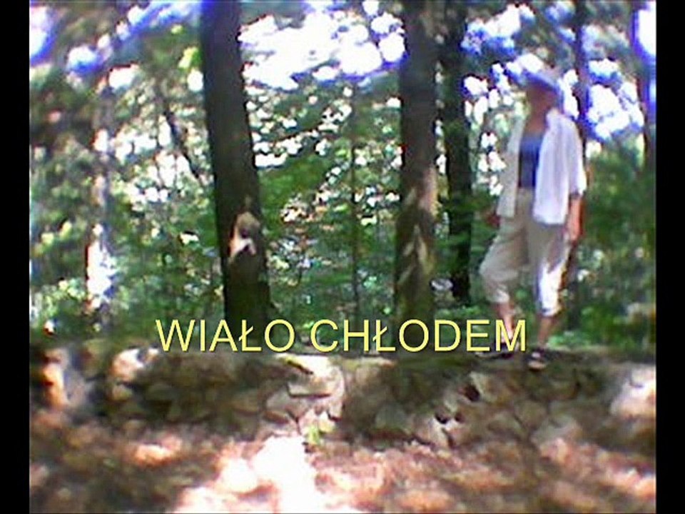 Wałbrzych VII 06