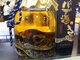 noticeThe poison snake liquor (Video sake alcohol cooking pet animals zoo safari amazon africa)