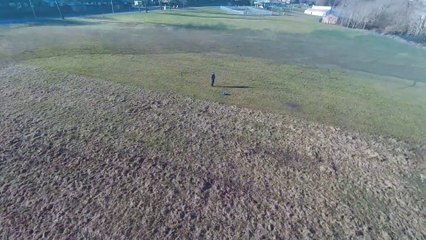 hollybush hex practice