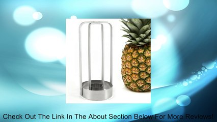 Pineapple Prince Pineapple Cutter and Corer Review