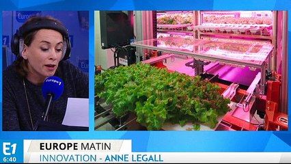 Légumes, que la lumière soit !