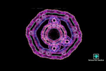 RELAXATION MUSIC FOR STRESS RELIEF AND HEALING MEDITATION