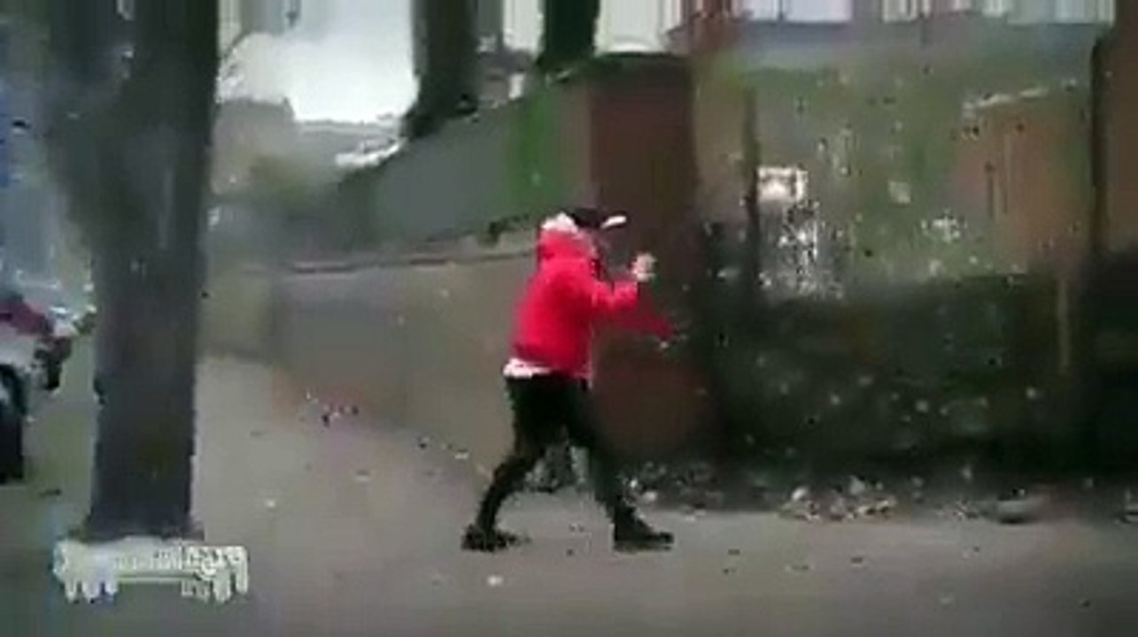 Dangures & funny