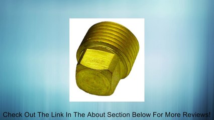 Invincible Marine Brass Garboard Plug Review