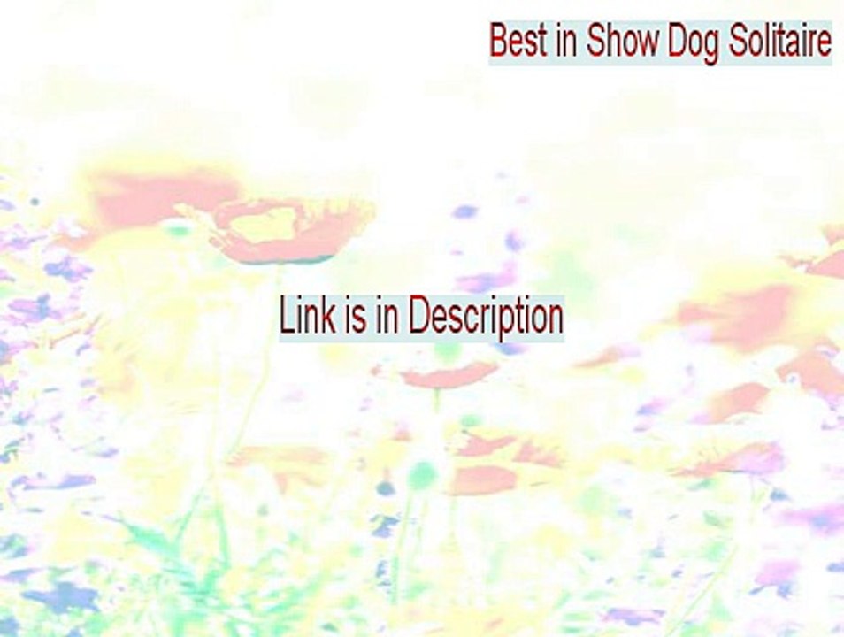 Best in Show Dog Solitaire Download Free - Free Download