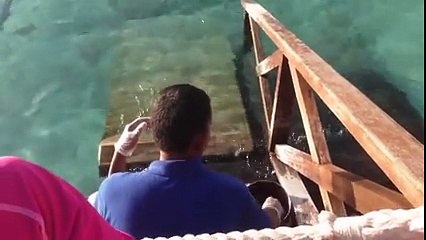 Balık beslerken balıgın yaptıgı inanılmaz