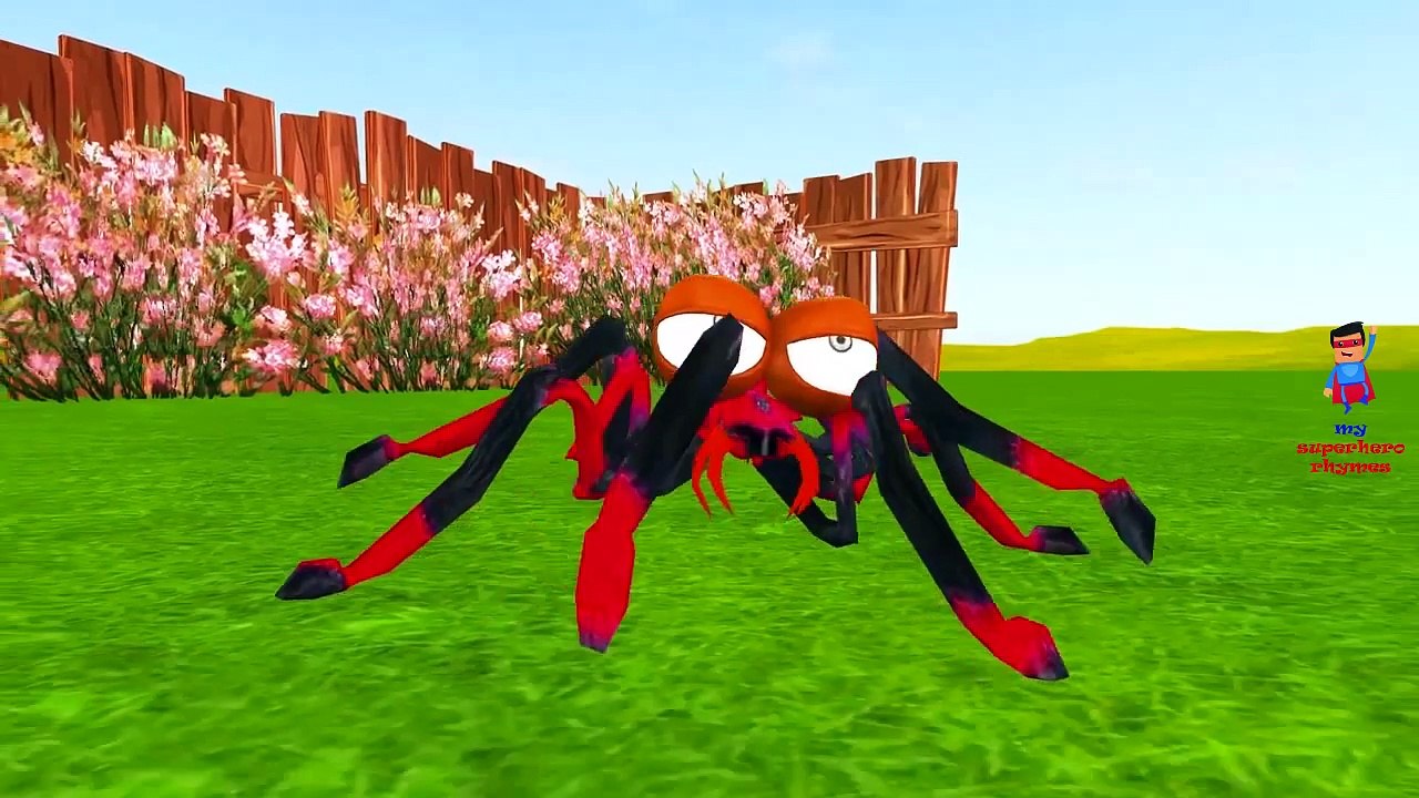 Itsy Bitsy Spider Song Nursery Rhymes for Children | Itsy Bitsy Spider Children Nursery Rhymes