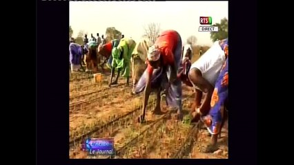 la conférence des bailleurs sur la casamance