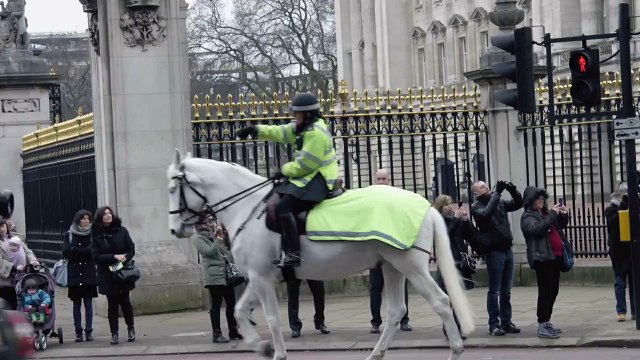 Un homme nu à Buckingham Palace