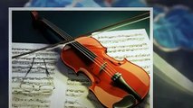 Violin Master Pro Review   Eric Lewi's Violin Master Pro Violin Lessons Online