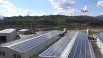 Germencik Güneş Panelleriyle Tavuk Çiftliğinin Enerjisini Üretip Fazlasını Devlete Satacak