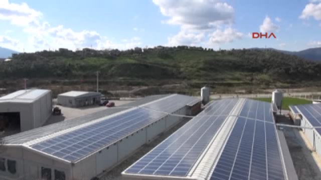 Germencik Güneş Panelleriyle Tavuk Çiftliğinin Enerjisini Üretip Fazlasını Devlete Satacak