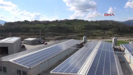 Germencik Güneş Panelleriyle Tavuk Çiftliğinin Enerjisini Üretip Fazlasını Devlete Satacak