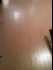 Exploiting small children for entertainment ! (10 second video) - YouTube