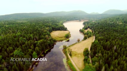 Adorable Acadia National Park