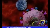 Aids | Ricerca svela dove si nasconde il virus