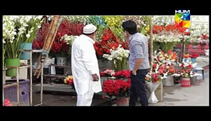 Youn Hum Miley Telefilm HUM TV Drama