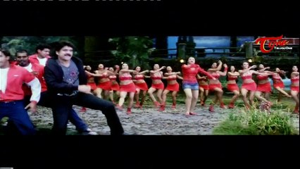 Nenu Nee Raja Song From King Movie | Akkineni Nagarjuna | Trisha
