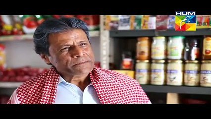 Choti Si Ghalat Fehmi Episode 24 HUM TV Drama Feb 26, 2015 -dailymotion