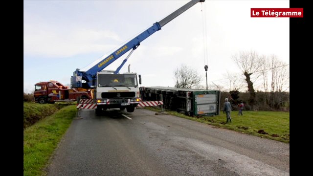 Mûr-de-Bretagne. Un camion de cochons se couche sur la D35