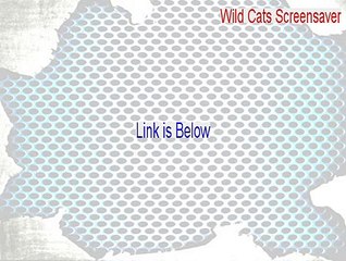 Wild Cats Screensaver Download [Download Now 2015]