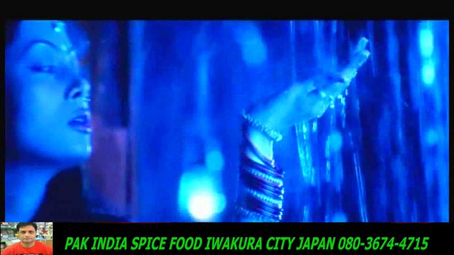 Kumar Sanu, Alka Yagnik - Kyun Bekhudi Si Chaayi Hai (Hum Ho Gaye Aap Ke-HD スパイスハラルフード　岩倉市ジャパンjapan halal food spice