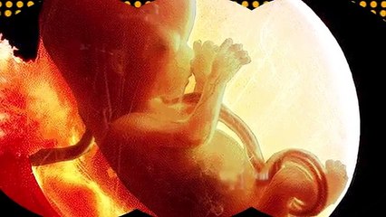 Bir dəqiqədə bir məlumat - İntihar edən hüceyrələr