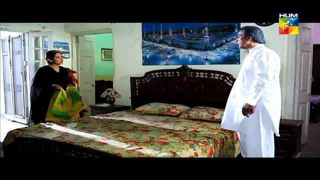 -Choti Si Ghalat Fehmi Episode 14 HUM TV Drama Feb 10, 2015 dailymotion