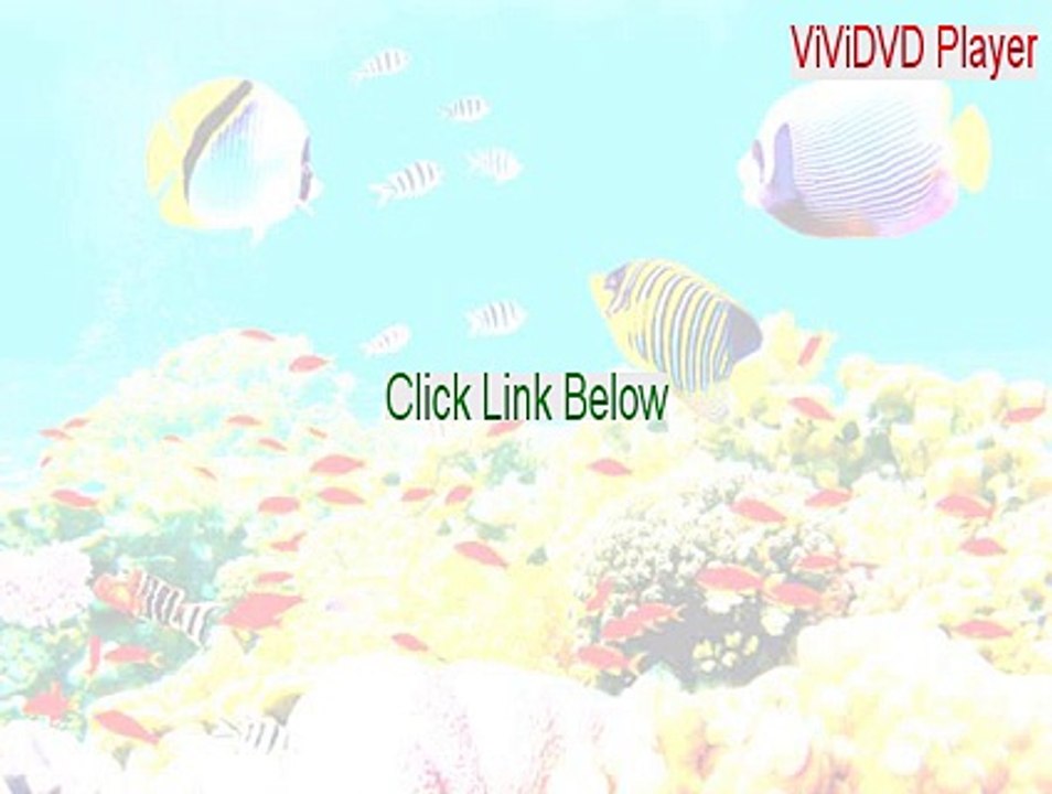 ViViDVD Player Download Free [Download Here]