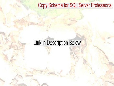 Copy Schema for SQL Server Professional Full Download (Download Now)