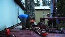 Incroyable abattage d'un arbre.