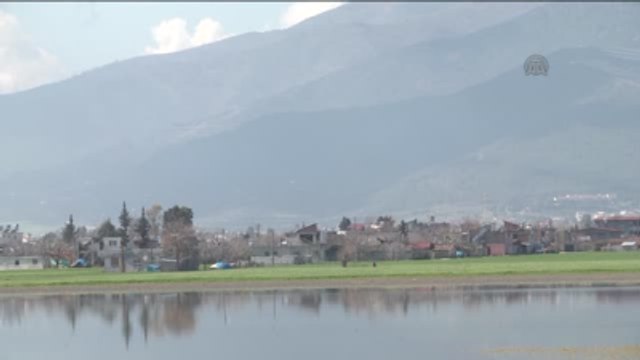 Sağanak Nedeniyle Amik Ovası'nda Tarım Arazileri Zarar Gördü