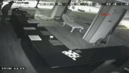 Samsun Parfümcülere Dadanan Hırsızlar Güvenlik Kamerasında