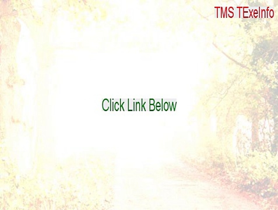 TMS TExeInfo Crack (Legit Download 2015)